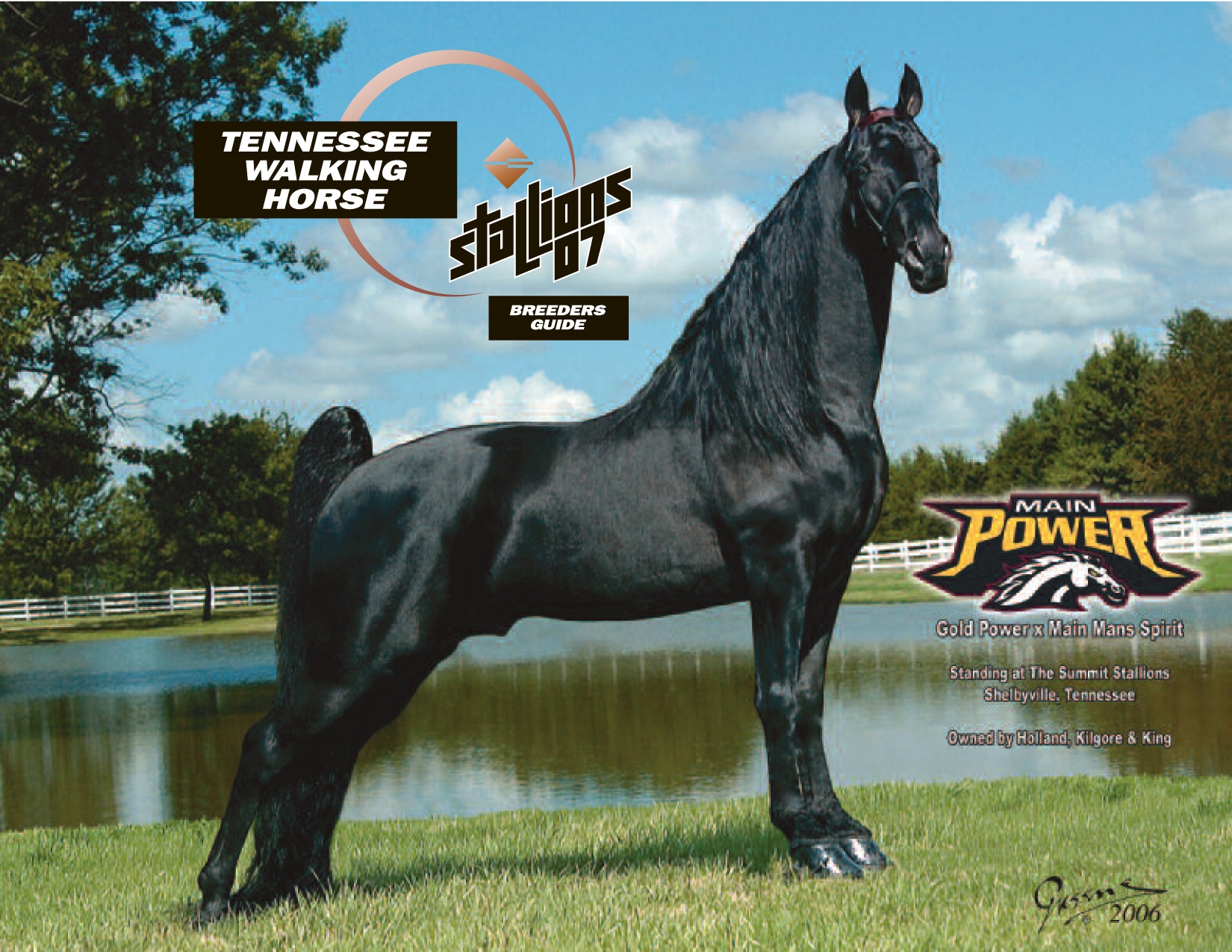 Walking Horse COVER.